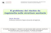 Il problema del rischio da - Sicurezza In Praticasicurezzainpratica.eu/wp-content/uploads/2018/07/Prof... · 2019. 3. 13. · Il problema del rischio da Legionella nelle strutture