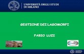 New GESTIONE DEI LAGOMORFI - Fabio Luzi · 2019. 5. 21. · PRESENTAZIONE STORIA DELL’ALLEVAMENTOCUNICOLO ... Freezing. PRESENTAZIONE STORIA DELL’ALLEVAMENTOCUNICOLO AMBIENTE