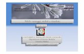 NGS: vantaggi, ambiti e ricadute.NGS: vantaggi, ambiti e ... · Applicazione di un metodo di high-troughput basato sulla Next Generation Sequencing per la tipizzazione dei loci HLA