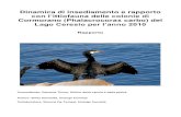 Dinamica di insediamento e rapporto con l’ittiofauna delle colonie … · 2011. 9. 9. · Dinamica di insediamento e rapporto con l’ittiofauna delle colonie di Cormorano (Phalacrocorax