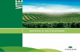 DIFE - Sipcam Italia S.p.A. · 2016. 6. 6. · DIFESA * Altri insetti - EPIK SL è efficace anche su Fillossera, Anomala vitis, Ceratitis capitata, Tripidi e Aleurocanthus spiniferus.
