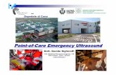 Point-of-Care Emergency Ultrasound · U.O. Medicina Emergenza-Urgenza -118 AOU S.Anna –Cona -Ferrara d.sighinolfi@ospfe.it Dott. Davide Sighinolfi Ospedale di Cona Point-of-Care