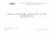 RELAZIONE SOCIALE DI AMBITO2.1 L’incrocio tra domanda e offerta di servizi e prestazioni erogati nell’ambito del Piano Sociale di Zona (risultati conseguiti al 31.12.2017) 2.1.1