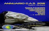 INDICE - G. A. S. - Gruppo Acquariofilo Salentino · 2017. 1. 22. · Il mio nuovo acquario marino tropicale (di Antonio Sergi) 19 Il pesce cieco che si orienta con l’eco dei baci