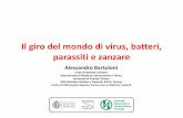 Il giro del mondo di virus, batteri, parassiti e zanzareEurope in September 2011. Medlock JM. Vector-Borne and Zoonotic Diseases 2012 First appearance in Albania in 1979 and Italy
