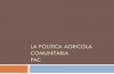 La Politica Agricola Comunitaria PAClnx.istitutoserpieri.gov.it/MANUALE BERETTA/PAC.pdf · Esempio di premi PAC fino al 2005 Colture a premio Ha Resa Tonn /Ha Importo Unitario Importo