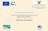 PROGETTO LIFE NATURA 2000 “Conservazione degli habitat e ...ec.europa.eu/environment/life/project/Projects/files/laymanReport/LI… · Ufficio territoriale per la Biodiversità