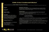 CAM: Criteri Ambientali Minimi - Criteri Ambientali Minimi per l¢â‚¬â„¢affidamento di servizi di progettazione
