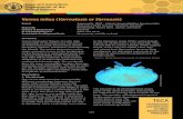 Varroa mites (Varroatosis or Varroosis1/5 Varroa mites (Varroatosis or Varroosis)Source Apimondia, IZSLT - Istituto Zooprofilattico Sperimentale del Lazio e della Toscana “Mariano