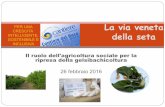 PER UNA La via veneta della seta - ... della Via etica della Seta in Veneto. Coordinamento: Veneto Marketing