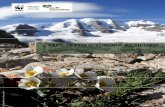 ALPI: TETTO D’EUROPA AL SICURO - Kyoto Club · Le Alpi rappresentano uno degli “hotspot” più importanti per la biodiversità nell’Europa occidentale a partire dalle oltre