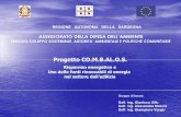 presentazione risultati CO.M.B.AL.O.S. fiera Cagliari 25 ...archive.forumpa.it/forumpa2007/regionando/cdrom/documenti/16/re… · 2/11/2005  · mappa interattivamappa interattiva