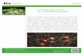 Scheda informativa IL COMPOSTAGGIO€¦ · 4 Il compostaggio Calendario del compostaggio Produzione scarti vegetali Attività del compostaggio GEN FEB MAR APR MAG GIU LUG AGO SET