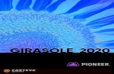 Catalogo girasole Pioneer 2020 - Corteva 2020. 4. 8.¢  l¢â‚¬â„¢olio di girasole tradizionale ha un tenore