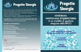 Progetto Sinergia Progetto Sinergia · Il progetto “SINERGIA” è un programma formativo a carattere nazionale che coinvolge Spe - cialisti esperti in malattie dell’apparato