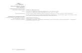 Curriculum Vitae Europass · Pagina 2/3 - Curriculum vitae di Roberto Mencancini Principali attività e responsabilità Progettazione, calcolo strutturale e progettazione architettonica