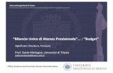 “Bilancio Unico di Ateneo Previsionale” : “Budget” n. 2 - 20... · Il budget deve essere redatto secondo il criterio della competenza economica: i ricavi (i costi) previsti