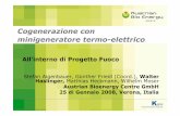 Cogenerazione con minigeneratore termo-elettrico · 2 All'interno di Progetto Fuoco, 25 di Gennaio 2008, Verona, Italia Contenuto •Introduzione di Austrian Bioenergy Centre •Cogenerazione