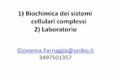 1) Biochimica dei sistemi cellulari complessi 2) Laboratoriocampus.unibo.it/177418/1/A derivati indolici come potenziali farmaci.… · 1) Biochimica dei sistemi cellulari complessi