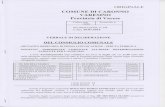 Comune di Caronno Varesino - Varese - Lombardia - Italia · 2015. 11. 30. · dell' addizionale IRPEF in questo Comune; la deliberazione n. 37 in data 28/2/2005, esecutiva, con cui