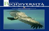 Eolico - Centro Studi Naturalistici O.N.L.U.S.centrostudinatura.it/public2/documenti/429-72105.pdf · Nel 1996-98 si apriva la vertenza eolica tra i Monti Dauni (Fg) e il Beneventano: