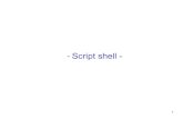 Script shell - unina.itwpage.unina.it/.../didattica/LSO/materiale/03_esercitazione_Script.pdf · Script Uno script di shell BASH è un file di testo che inizia con: #!/bin/bash e