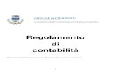 REGOLAMENTO DI CONTABILITA - comune.cavagnolo.to.it · 2. Le linee programmatiche rappresentano il documento di riferimento per la predisposizione e l'aggiornamento degli altri strumenti