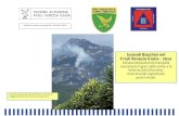 Report incendi 2015 - Friuli Venezia Giulia · Nel 2015 in Friuli Venezia Giulia sono av-venuti 76 incendi boschivi per un totale di 91,21 ettari di superﬁce percorsa dal fuo- co