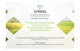 Il ruolo del Cluster Spring nella definizione di una strategia ...Il ruolo del Cluster Spring nella definizione di una strategia italiana della Bioeconomia" La Bioeconomia italiana
