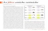 Le b re ottiche retiniche - Portale OCulistica Amedeo Lucente · Red-Free è risultata maggiormente predittiva nel distin-guere i soggetti sani dai glaucomatosi. Il NFI è espresso