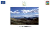 LIFE PRATERIE - minambiente.it · sottomisura 7.1 (Piani di Sviluppo locale e Piani di gestione siti Natura 2000- piani di pascolo) Regolamenti di pascolo e Piani di pascolo sottomisura