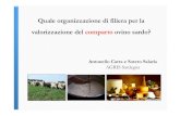 Quale organizzazione di filiera per la valorizzazione del ...€¦ · Produzioni Ovine in Sardegna • 300 milioni di litri di latte (67% del latte ovino italiano) • 1.3 milioni