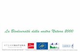 Diapositiva 1 · # TEAMNATURA IT - ProdottO contributo del Programma LIFE dell'Unione Europea e con il sosteg PROGETTO LIFE 15 GIE/lT/897 NET PRO NET azione Cariplo Title Diapositiva
