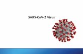 SARS-CoV-2 Virus...Come tutti i Virus, anche il SARS-CoV-2, contenendo solo filamenti di RNA e non di DNA, non può riprodursi da solo. Per farlo, deve penetrare una cellula ospite