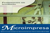 Microimpresa - Padova University Pressmicroimpresa.padovauniversitypress.it/system/files/... · Microimpresa prova a rispondere, portando a sistema alcune riflessioni che si sviluppano