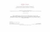 Laureando Prof. Isabel García Parejo Dipartimento di Studi ...tesi.cab.unipd.it/62378/1/Elisa_Infantino_2019.pdf · análisis contrastivo entre lenguas afines; análisis de errores