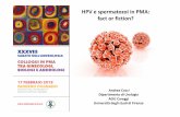HPV e spermatozoi in PMA: factor fiction? · inclusa la vitalità spermatica, la morfologia normale e la motilità rapida progressiva sono risultati significativamente ridotti2 •