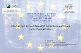 WORKSHOP DEGLI ESPERTI Gruppo di lavoro CALRE 2017 ......2017/09/07  · 2. ricognizione della normativa europea in materia di prevenzione e gestione del rischio di calamità naturale;