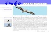 numero 27 - biolovision.net...Buon compleanno Migrans! disegno L. Starnini Per il Coordinamento Rapaci Migratori - Luca Giraudo. 2 28° campo internazionale per la protezione dei rapaci