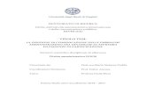 Diritto amministrativo IUS/10 - CORE · Il rapporto amministrativo nella costruzione giuridica dello Stato, in Scritti in onore di C. Mortati, II, Giuffré, Milano, 1977, di Modugno