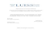 ENVIRONMENTAL SUSTAINABILITY AND HUMAN HEALTH IN …tesi.eprints.luiss.it/11269/1/ciuffreda-tesi-2013.pdf · production system, with special attention to farming and livestock, as