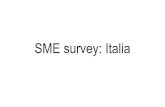 SME survey: Italia - TAD The Ability Advisor€¦ · SME survey: Italia. Persone con mobilità ridotta Persone con disabilità mentale Persone con difficoltà sensoriali Persone con