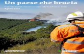 Cambiamenti climatici e incendi boschivi in italia€¦ · 1. I grandi incendi forestali (GIF) e il rischio nelle aree di interfaccia urbano-foresta 6 2. Le cause degli incendi boschivi