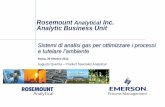 Rosemount Analytical Analytic Business Unit · CH 4 50-60% Vol. ... S possono inficiare il corretto funzionamento di sistemi di abbattimento delle emissioni a valle di motori a combustione