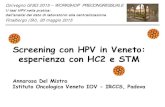 Il test HPV nella pratica: dall’analisi del dato di ... · PDF file Colorazione e lettura citologia di triage . Protocollo screening con HPV - Veneto . Intervallo 3 anni . Donne