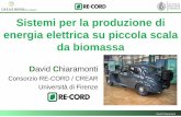 Sistemi per la produzione di energia elettrica su piccola scala da … · 2013. 12. 9. · Biogas Conclusioni pag.2. ... (50-100 kWe) Microcogeneratore a olio vegetale puro (5 kWe/10