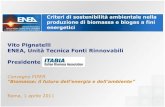 Vito Pignatelli ENEA, Unità Tecnica Fonti Rinnovabili ... · Impianto di cogenerazione a biogas in una azienda agrozootecnica (Azienda Bruni, Sutri) Impianto di cogenerazione •Potenza