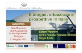Il biogas: situazione e prospettive in Italia · Censimento impianti biogas agro-zootecnici Impianti per classi di dimensione di potenza elettrica installata (n.) Classe di potenza