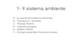 1- Il sistema ambiente - Home | Sapienza Università di Roma...Piramide di Maslow Tra il 1943 e il 1954 lo psicologo statunitense Abraham Maslow concepì il concetto di "gerarchia