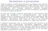 Sensazione e percezione - Università degli Studi di Verona€¦ · Percezione: processo che implica il riconoscimento e l’interpretazione degli stimoli registrati da i nostri sensi;